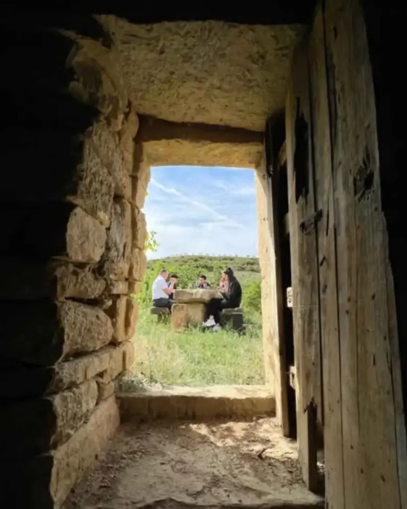 Spain, Rioja, Bodegas Javier San Pedro Ortega - Drink outside the box