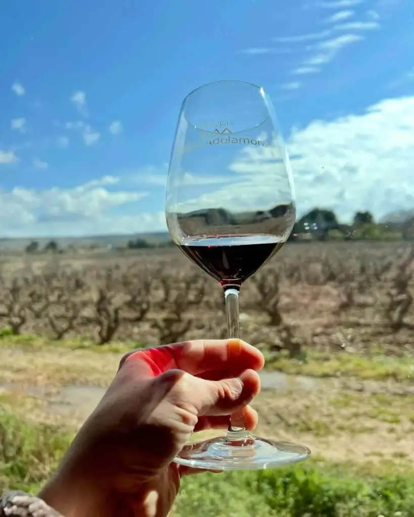 Spain, Rioja, Bodegas Amézola de la Mora - Private visit to the winery