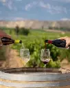 Spain, Rioja, Bodegas Amézola de la Mora - Make your own wine