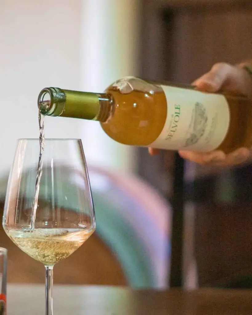 Italy, Tuscany, Castello di Selvole - Tasting In The Historic Tuscan Hills Of Chianti