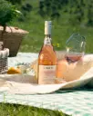 Uruguay, Oceanic Region, Bodega Garzon - Vineyard Picnic and Walking Tour at Bodega Garzón