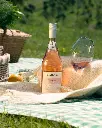 Uruguay, Oceanic Region, Bodega Garzon - Vineyard Picnic and Walking Tour at Bodega Garzón