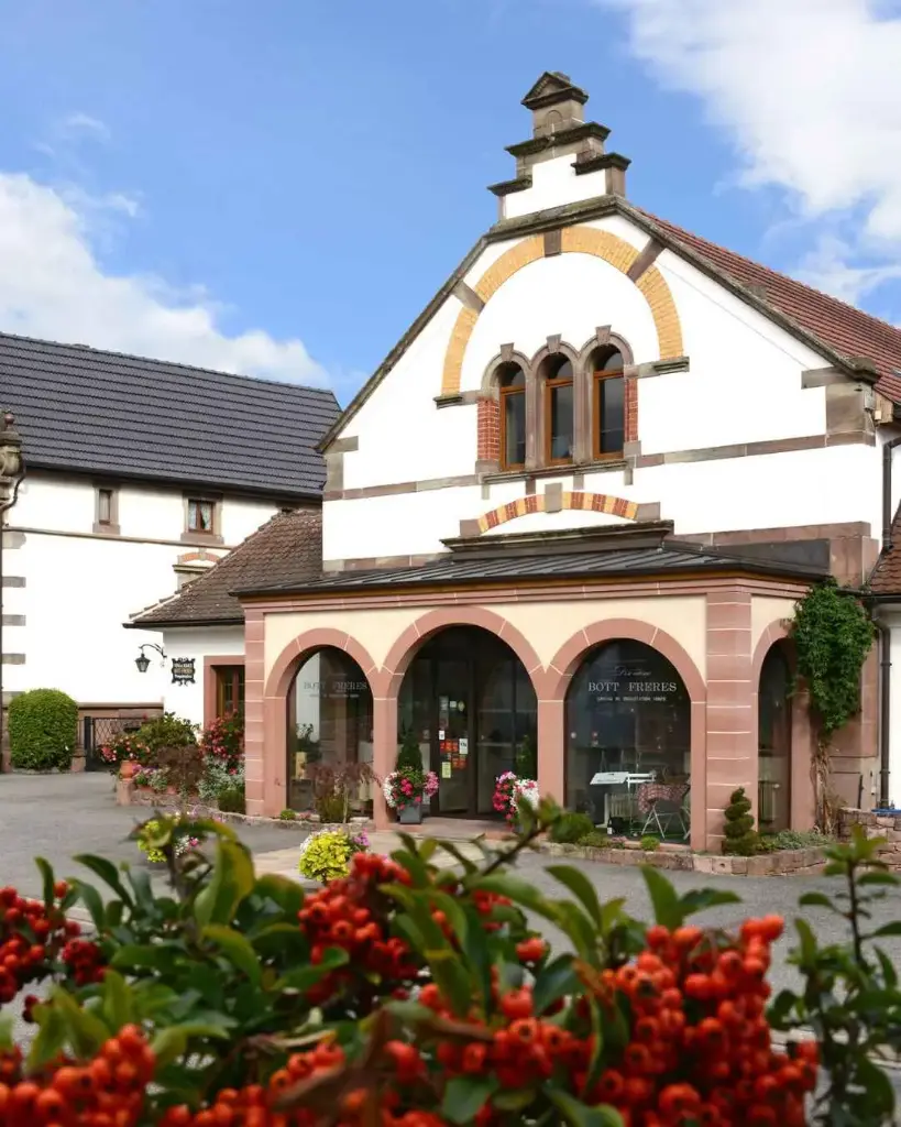 France, Alsace, Domaine Bott Frères - Guided tour of the cellar and wine tasting in Ribeauvillé