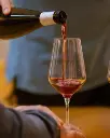France, Alsace, Domaine Pierre Adam - Discovery Tasting