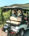 France, Alsace, Domaine Pierre Adam - Tour of the vineyard in an electric vehicle