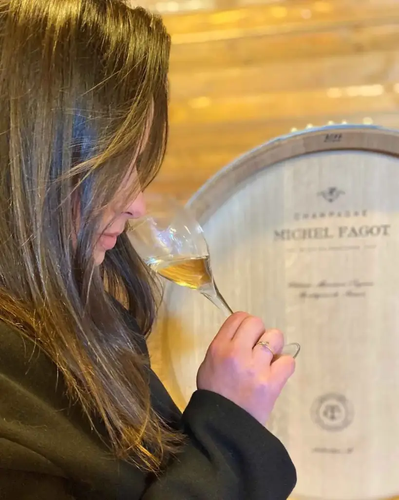 France, Champagne, Champagne Michel Fagot - Signature Visit