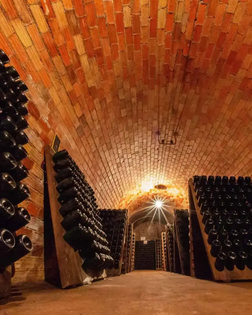 France, Champagne, Champagne Michel Fagot - Collector's Visit