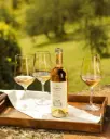 Italy, Tuscany, Castello Di Albola - Classic Wine Tasting