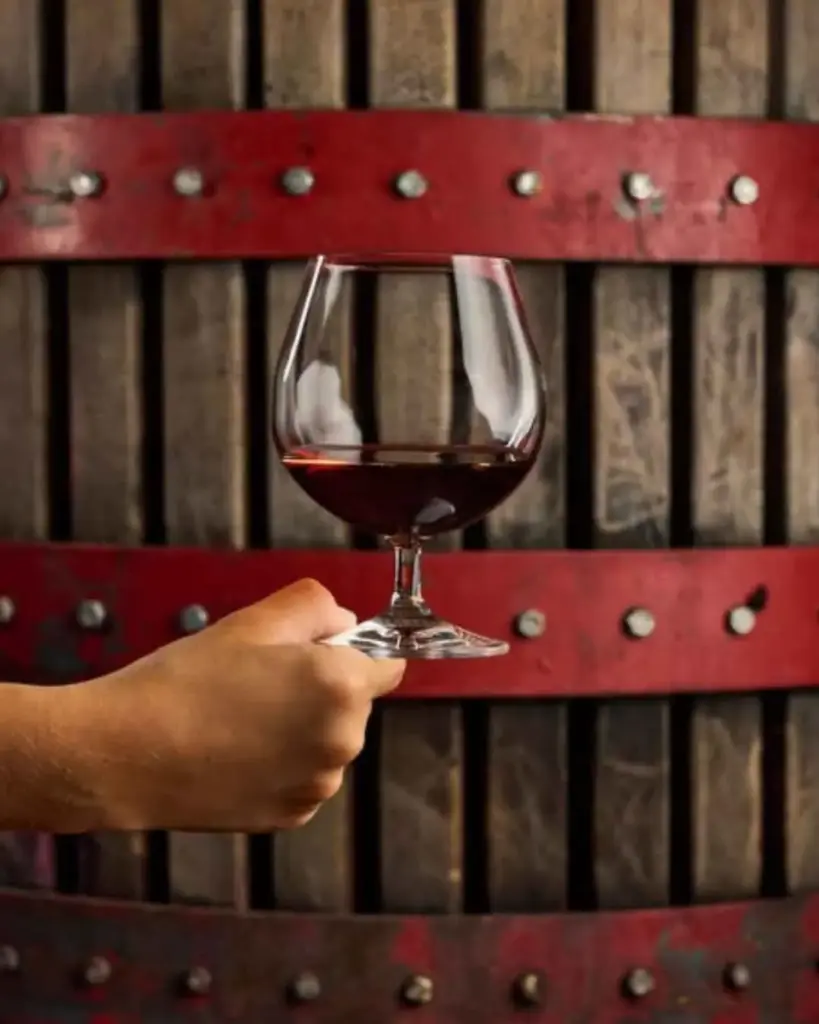 Italy, Tuscany, Castello Di Radda - Tasting of a selection of 3 Wines and 1 Vermouth