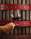 Italy, Tuscany, Castello Di Radda - Tasting of a selection of 3 Wines and 1 Vermouth