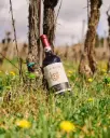 Italy, Tuscany, Castello Di Radda -  Tasting of cheeses and cold cuts matched with Castello di Radda wines