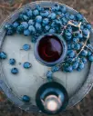 Italy, Tuscany, Fattoria Uccelliera - Wanderlust