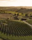 Italy, Tuscany, Fattoria San Michele a Torri - Tour & Tasting with light lunch