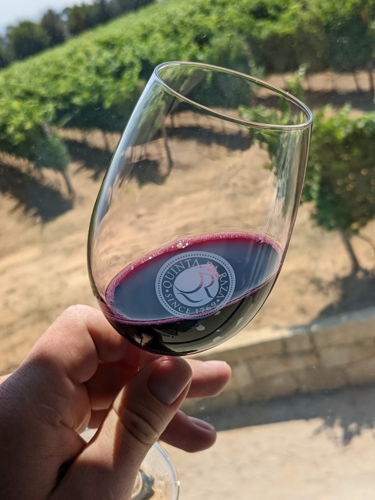 Portugal, Vinho Verde, Quinta da Raza - Walking Trail through the Vineyards, Organic Vegetable Garden, and Animal Farm with Wine Tasting