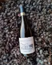 Italy, Veneto, Corte Archi - Valpolicella All Around
