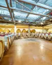 Italy, Tuscany, Icario - Platinum Tour & Tasting Experience