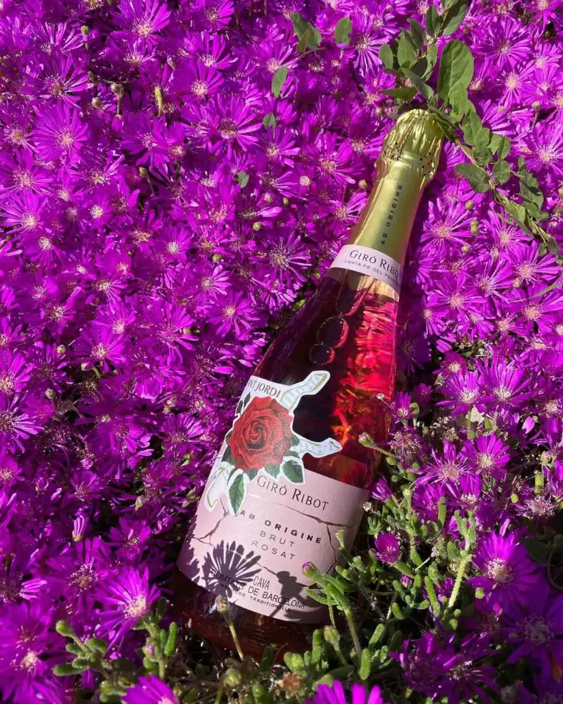 Spain, Catalonia, Giró Ribot - Visit and tasting