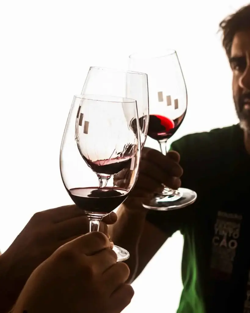 Portugal, Douro, Quinta Da Pedra Alta - Premium Visit and Tasting