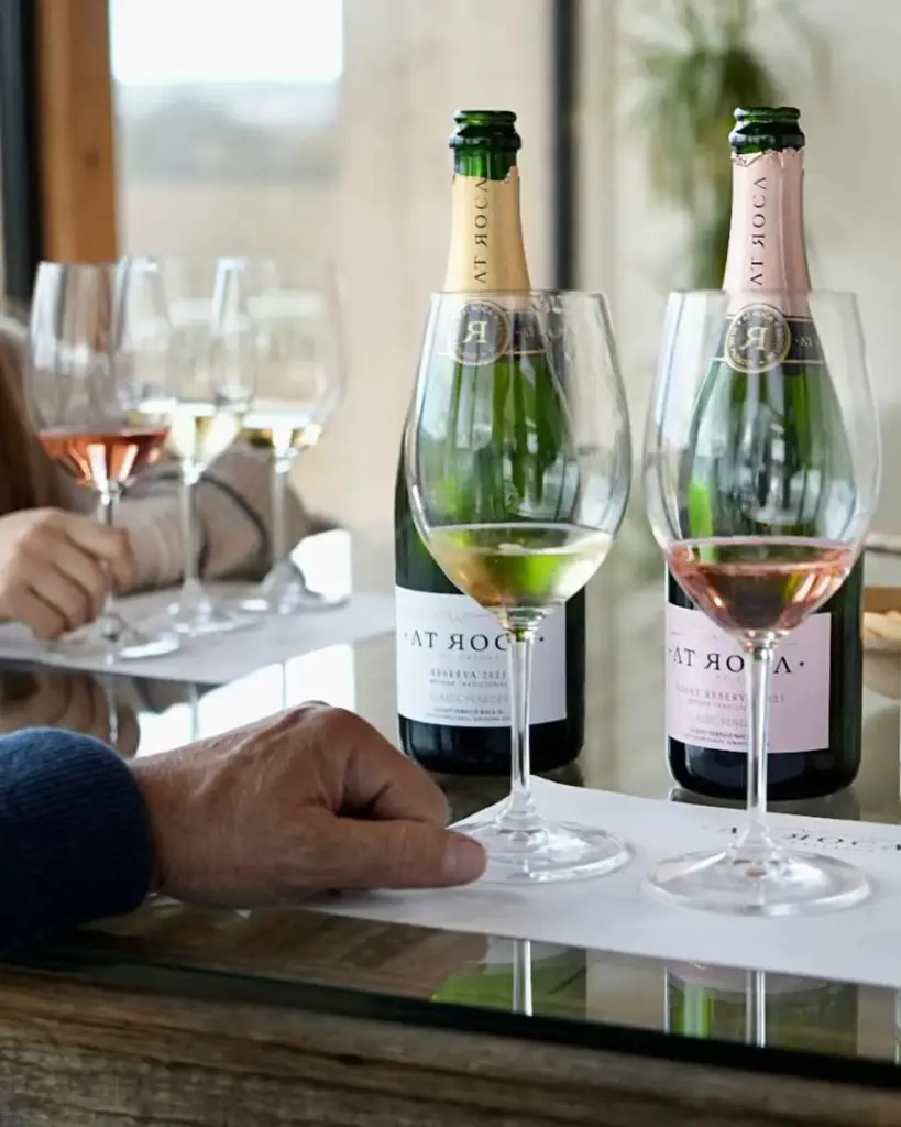 Spain, Catalonia, AT Roca - Visit And Tasting Of 4 Wines