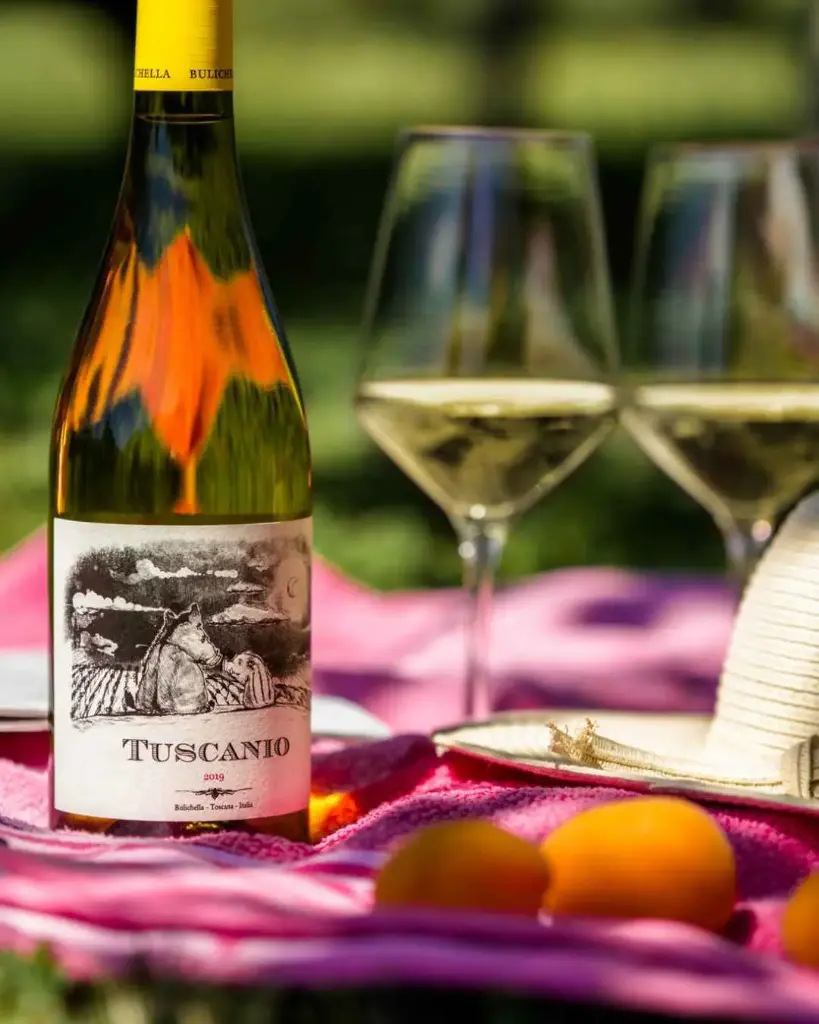 Italy, Tuscany, Tenuta Biologica Bulichella - Bulichella in the glass