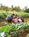 Italy, Tuscany, Fattoria San Michele a Torri - Classic Wine Tour & Tasting – Live the farm