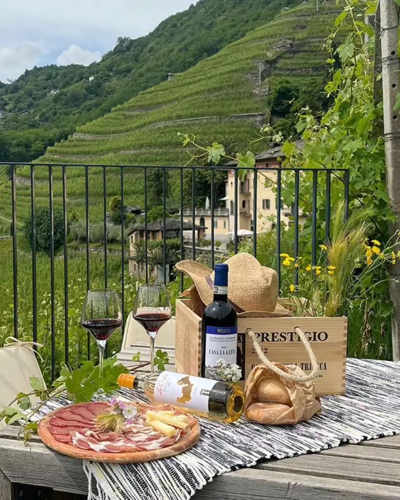 Italy, Lombardy, Casa Vinicola Triacca - Tenuta La Gatta - Picnic in the Vineyard