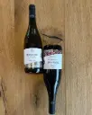 Italy, Apulia, Sacco Vignaioli Apuli - Classic visit with tasting of 2 wines