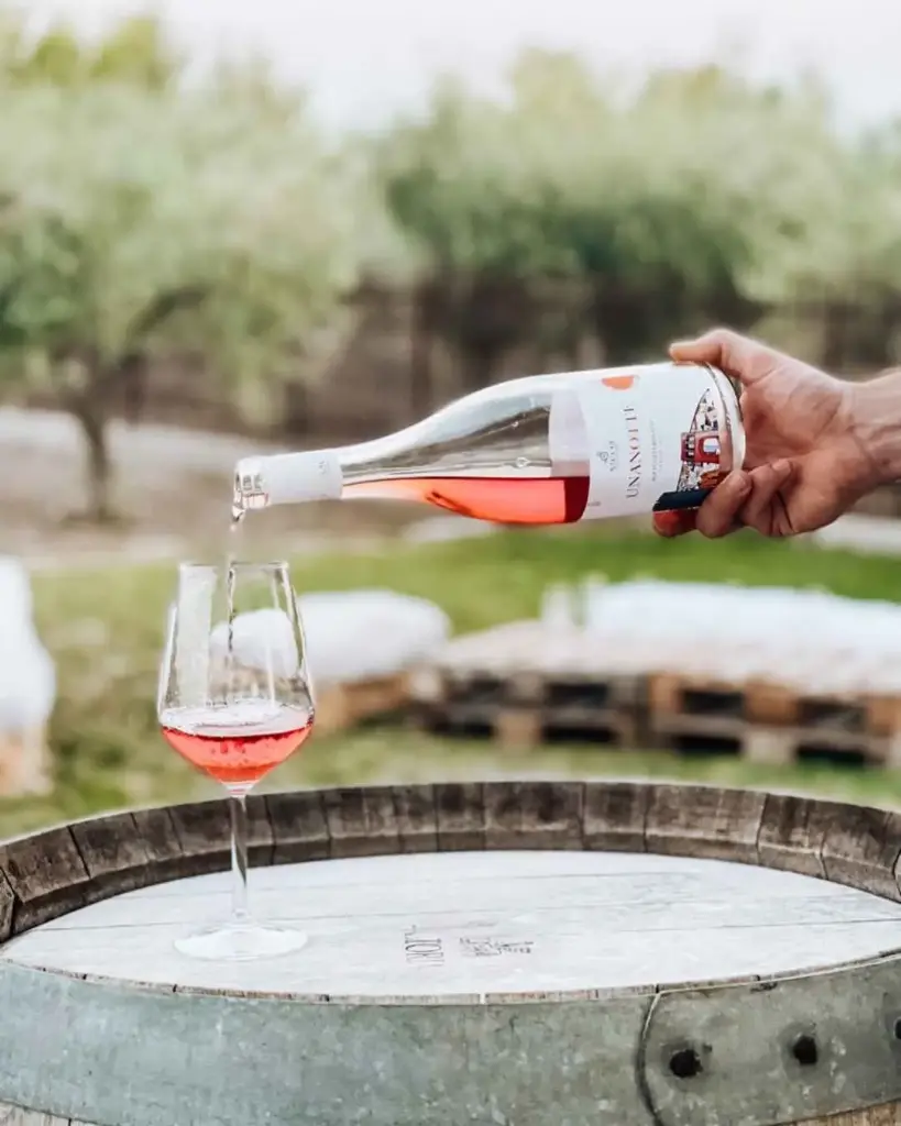 Italy, Apulia, Sacco Vignaioli Apuli - Extra visit with tasting of 3 wines