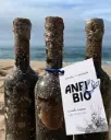 Portugal, Lisboa, Quinta Da Casaboa - Premium Tasting