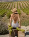 Spain, Andalusia, Bodegas Salado - Vineyard To Winery Experience