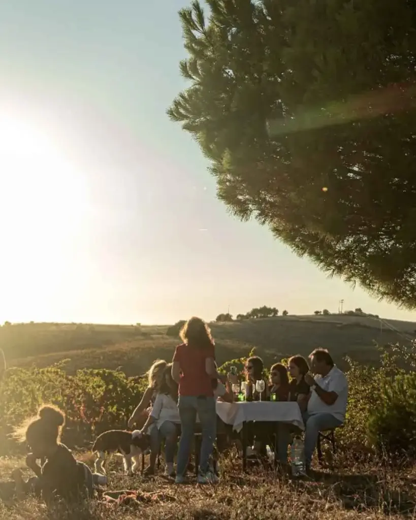 Portugal, Alentejo, Gerações Da Talha - Picnic In The Vineyard