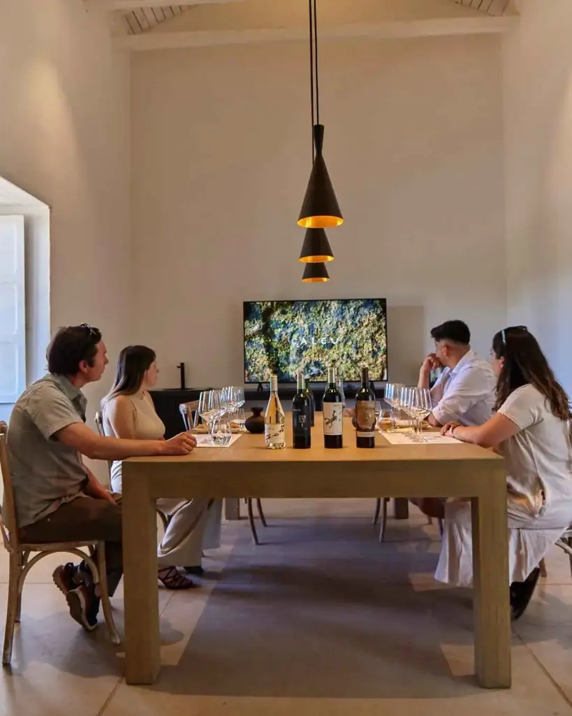 Chile, Colchagua Valley, Maquis Wines - Emblem Tour