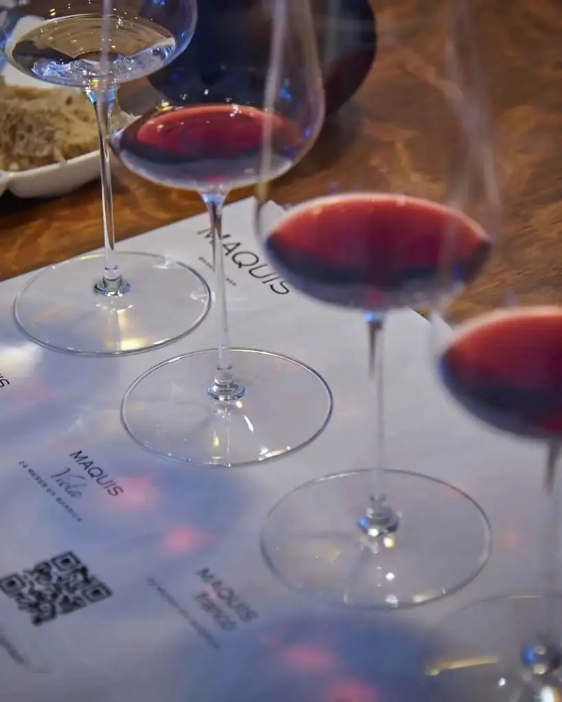 Chile, Colchagua Valley, Maquis Wines - Iconic Tour