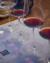 Chile, Colchagua Valley, Maquis Wines - Iconic Tour