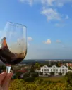 Portugal, Setubal, Quinta do Piloto - Visit & Tasting