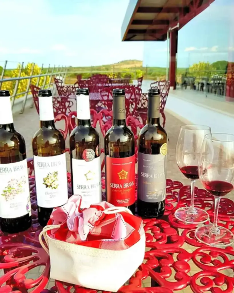 Portugal, Setubal, Herdade Canal Caveira - "I want to taste everything"