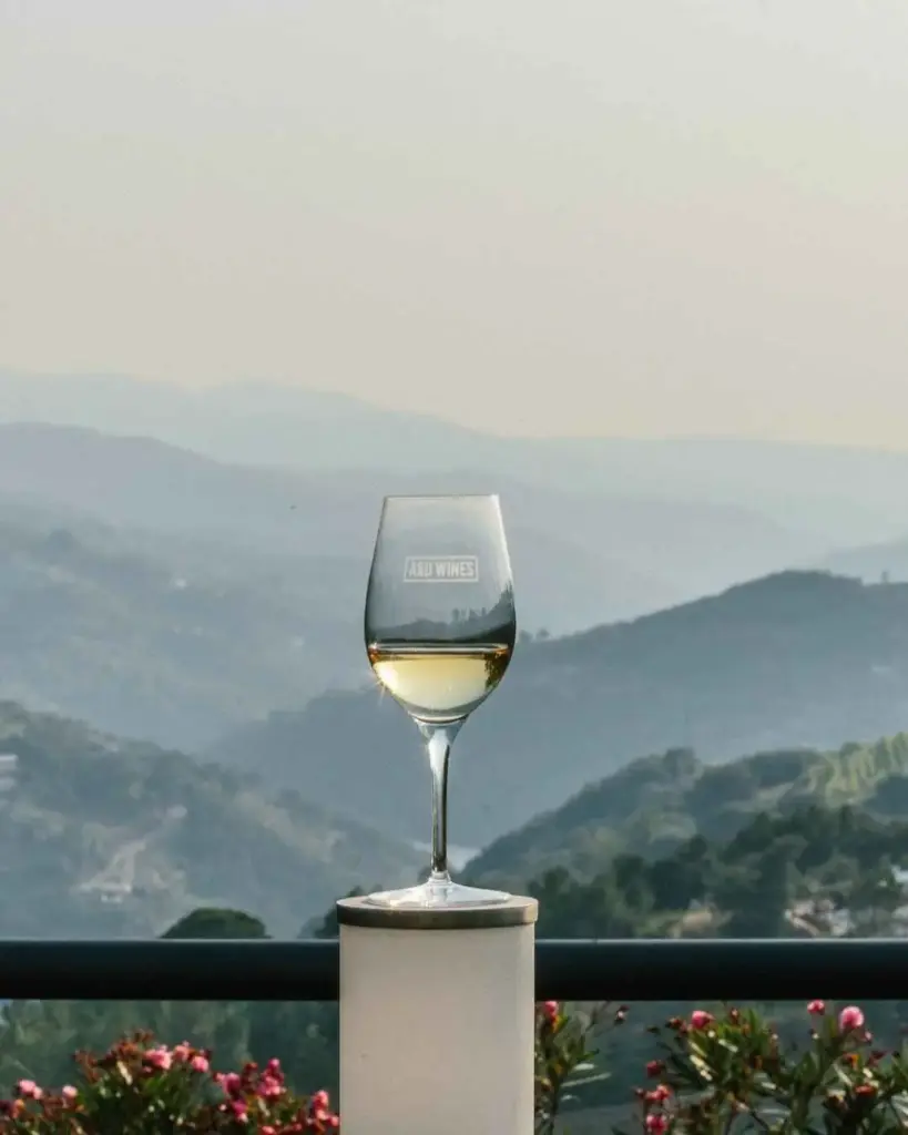 Portugal, Vinho Verde, A&D Wines - Quinta De Santa Teresa - Terroir Tour and Tasting