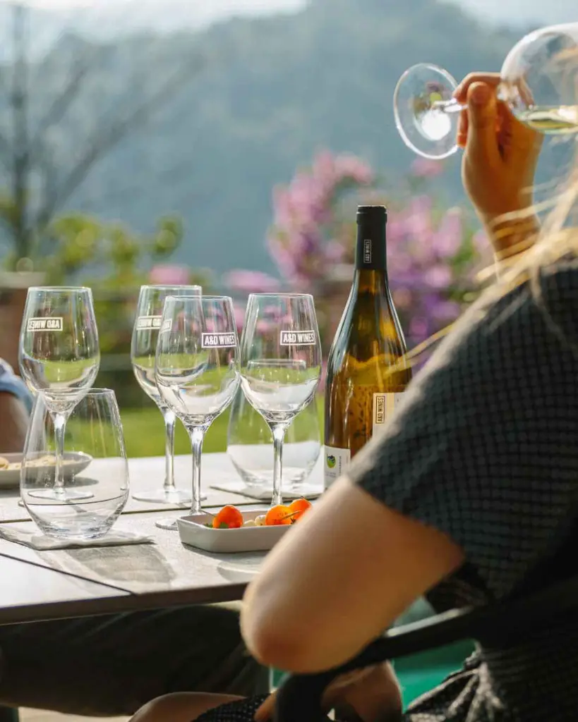 Portugal, Vinho Verde, A&D Wines - Quinta De Santa Teresa - Avesso Experience - Tour and Tasting