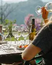 Portugal, Vinho Verde, A&D Wines - Quinta De Santa Teresa - Avesso Experience - Tour and Tasting