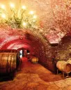 Austria, Lower Austria, Weingut Neustifter - Through The Cellar - Wine tour