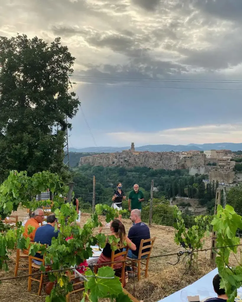 Italy, Tuscany, Sassotondo - Ciliegiolo unveiled