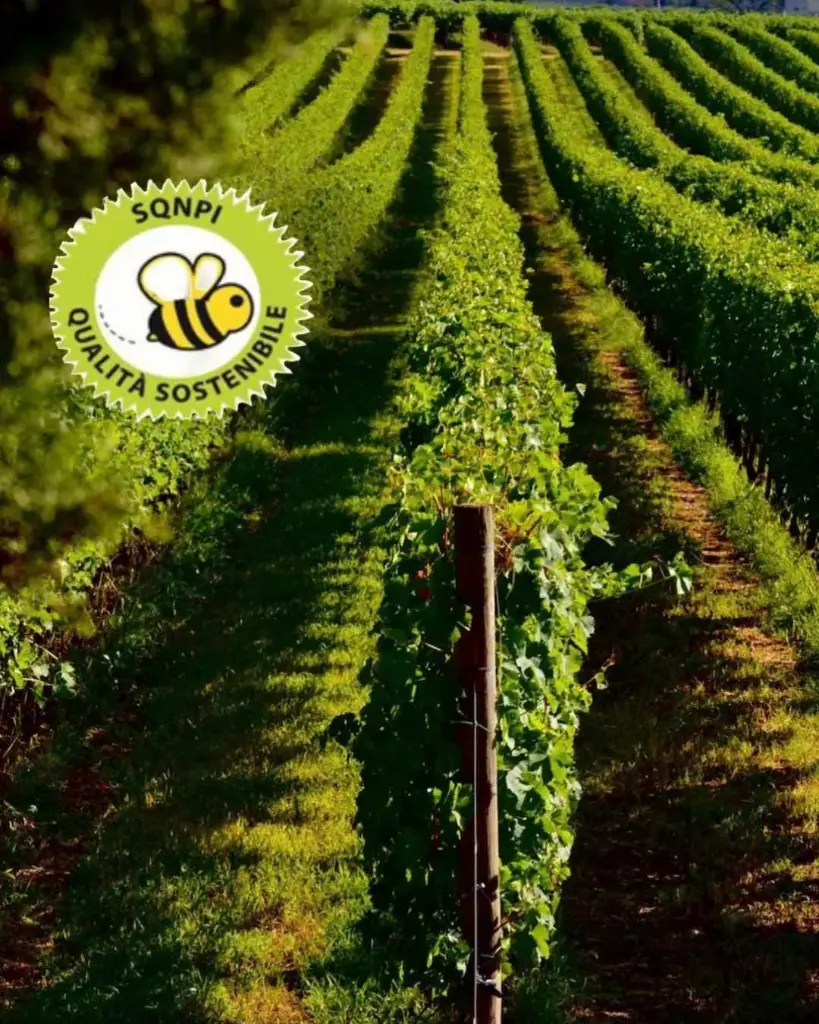 Italy, Veneto, Società Agricola Rino Sartori - Enotria- Tellus