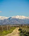 Greece, Crete,  Lyrarakis - Single Area Wine Tasting