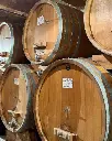 Italy, Piedmont, Massimo Rivetti - Tasting of 5 wines in the historic center of Neive
