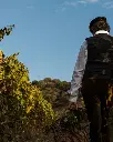 Italy, Sardinia, Colline Del Vento -  Wine Tour With Dinner