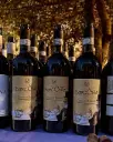 Italy, Tuscany, VioVillas Glamping Arezzo - Full Tasting Experience