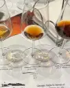 Italy, Sicily, Alagna Vini - Alagna Vini Tour and Tasting