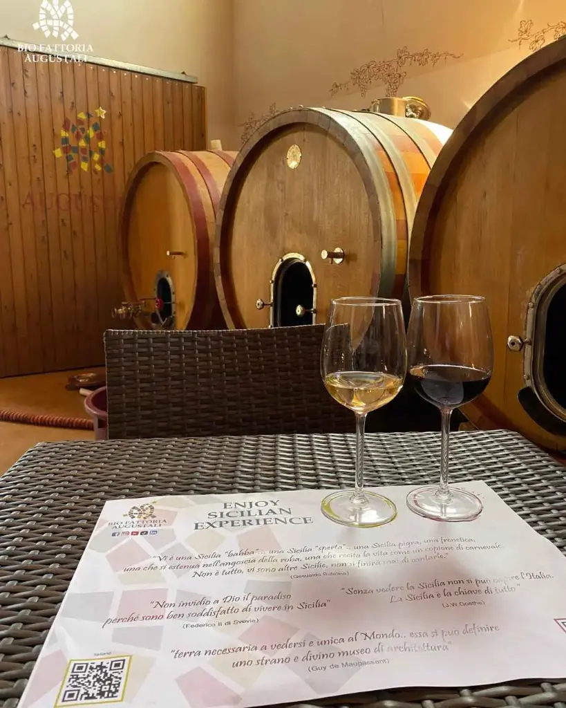 Italy, Sicily, Augustali Winery - In Sicily Between Vineyards And Cellar