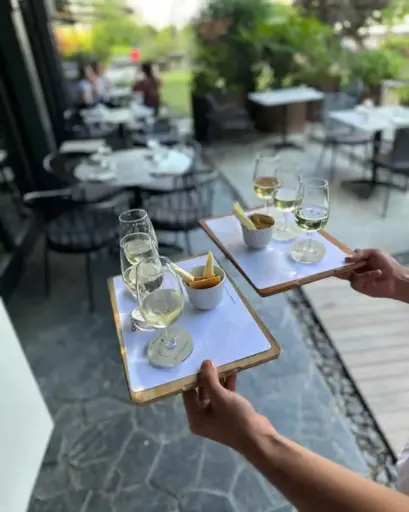 Turkey, Aegean, Suvla Wines - Aegean Wine tasting