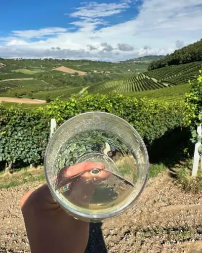 Italy, Piedmont, Cascina Sòt - Visit and tasting